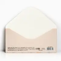 Конверт для денег &laquo;Подарок&raquo;, 16.5&times;8 см