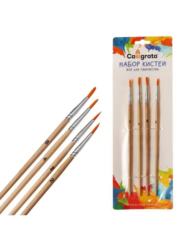 Набор кистей для рисования, синтетика, 4 штуки: № 2, 2, 4, 8, круглые, деревянная ручка, международный размер