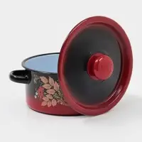 Кастрюля эмалированная &laquo;Рябинушка&raquo;, 2 л, d=18 см, с крышкой, ручка МИКС, чёрная, красная