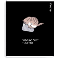 Тетрадь предметнaя ФИЗИКА 'КОТЫ МЕМЫ' 48 л., А5+,клетка,справ.инф/69822