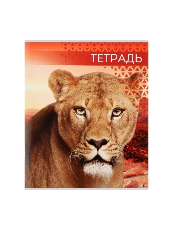 Тетрадь &laquo;Дикие кошки&raquo;, 48 листов, в клетку, МИКС