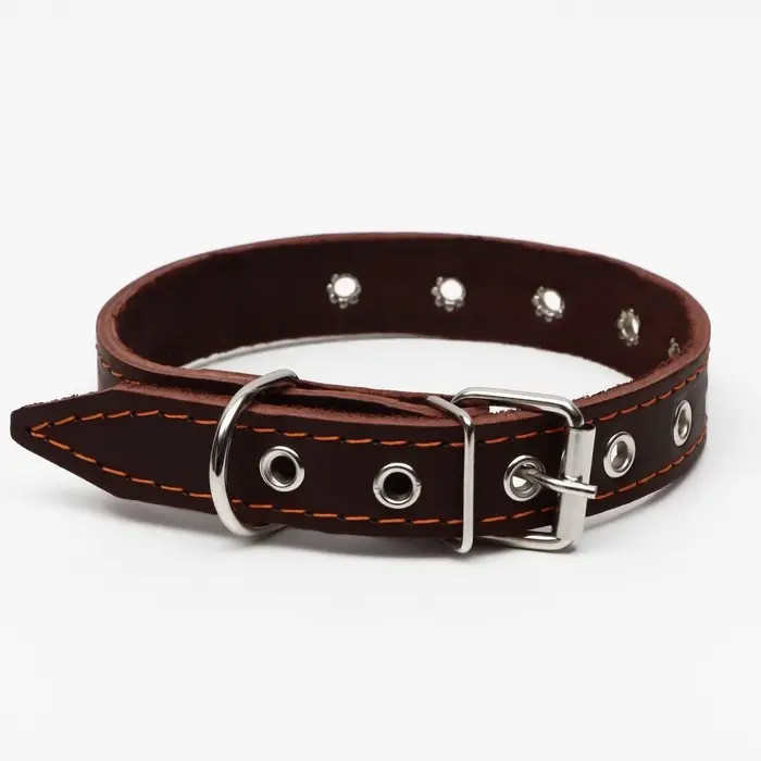 Ошейник однослойный, безразмерный, 56&times;2.5 см, ОШ 17-44 см, кожа, коричневый