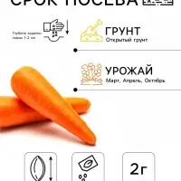 Семена Морковь &laquo;Королева осени&raquo;, 2 г, &laquo;Сембат&raquo;