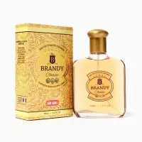 Туалетная вода мужская Brandy Classic, 100 мл
