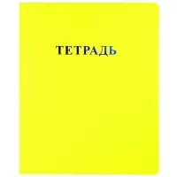 Комплект 12 тетрадей, 48 листов в клетку, 60 г, матовая обложка
