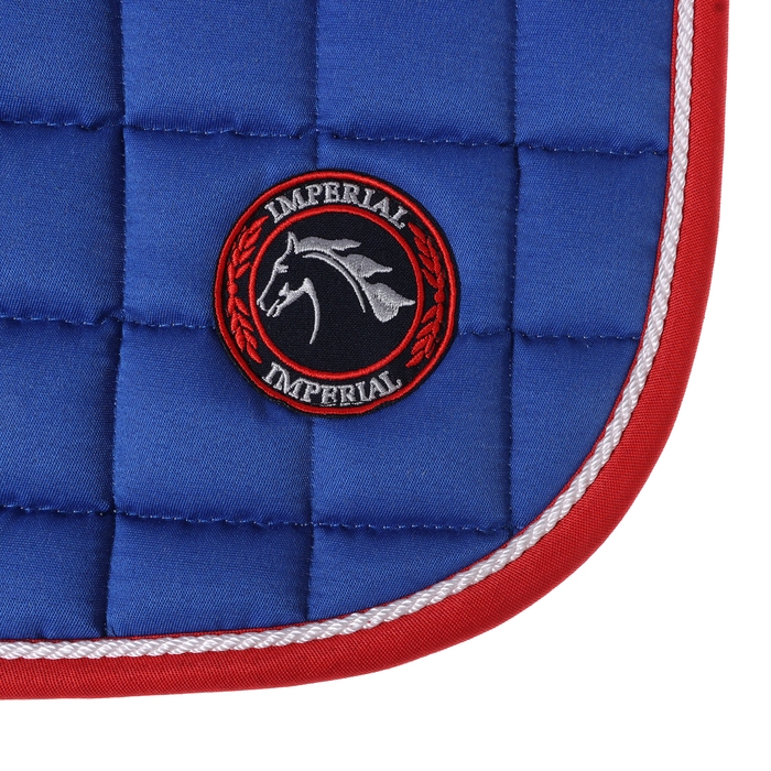 Вальтрап пони, василек Вальтрап пони, василек