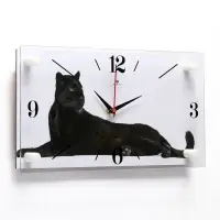 Часы настенные, интерьерные &laquo;Пантера&raquo;, бесшумные, 20&times;40 см, белые