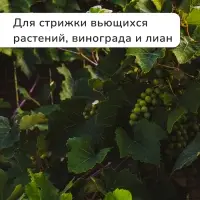 Кусторез, 31&minus;44.5" (79&minus;113 см), телескопический, с металлическими ручками, Greengo