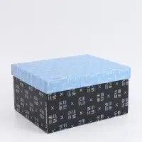 Коробка складная Present, 31 х 25,5 х 16 см