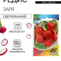 Семена Редис "Заря", ц/п, 2 г  серия ХИТ х3