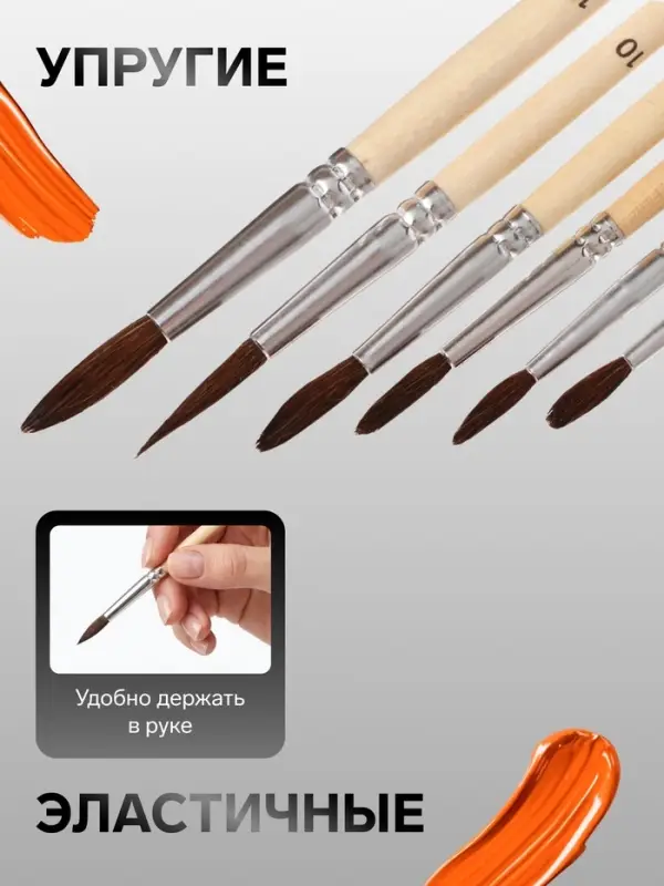 Набор кистей для рисования, белка, 6 штук: № 2, 4, 6, 8, 10, 12, Calligrata, круглые, деревянная ручка, международный размер