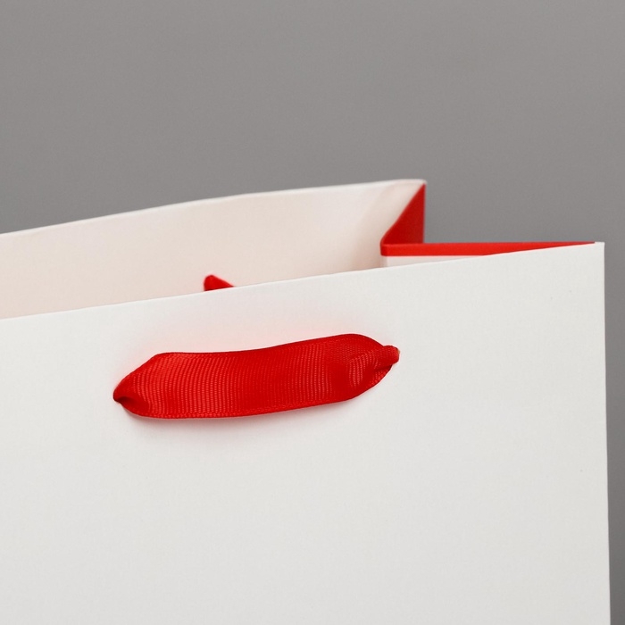 Пакет подарочный ламинированный вертикальный, упаковка, «Love», MS 18 х 23 х 10 см Пакет подарочный ламинированный вертикальный, упаковка, «Love», MS 18 х 23 х 10 см