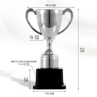 Кубок 113, наградная фигура, серебро, подставка пластик, 17.7 см