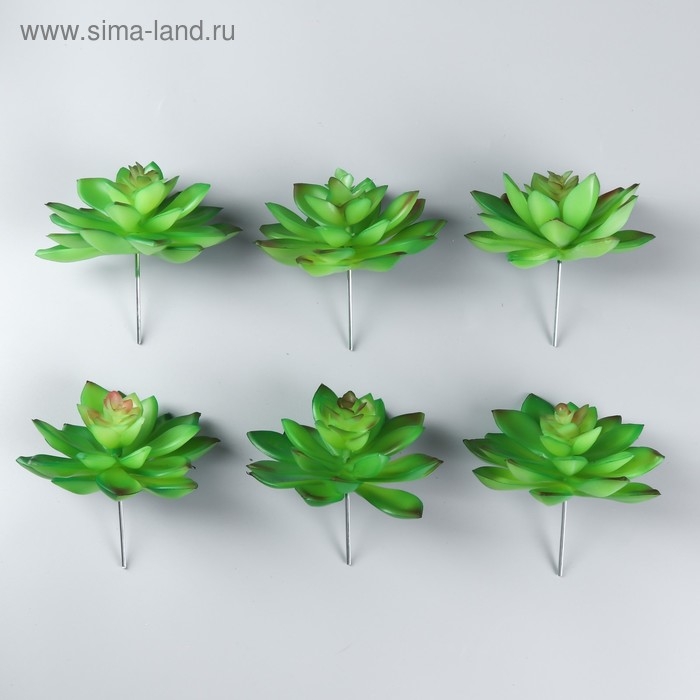 Искусственный суккулент для создания флорариума Искусственный суккулент для создания флорариума "Молодило Silver Song" 10,5х10х10 см