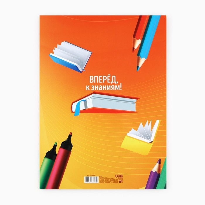 Папка на Выпускной «Выпускник начальной школы», с 2-мя файлами, А4.