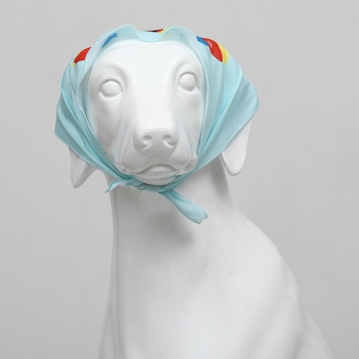 Платок для животных "С днём рождения", 15 х 12 х 1 см, голубой