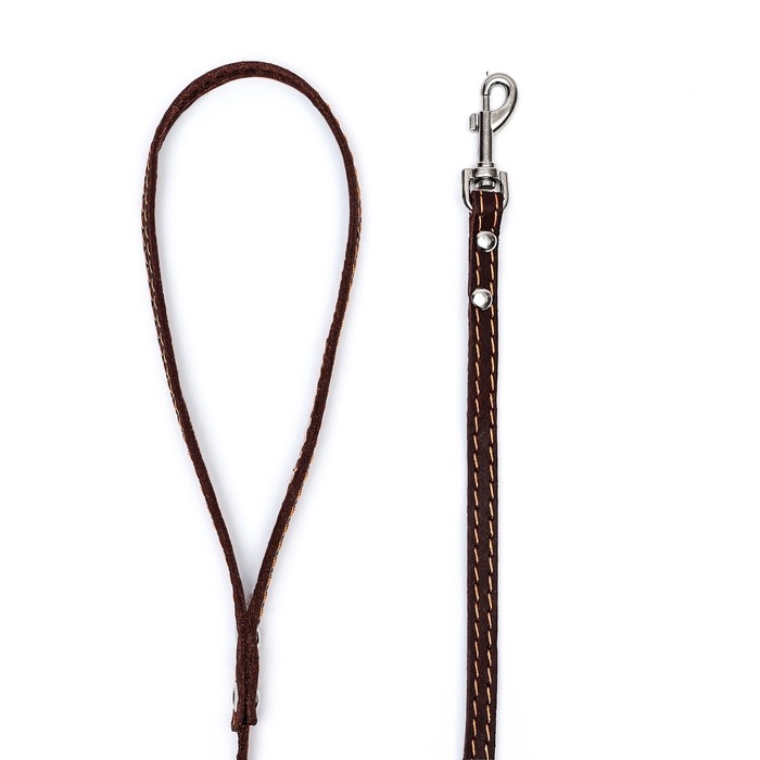 Поводок кожаный однослойный, простроченный, 1.37 м х 1 см, коричневый Поводок кожаный однослойный, простроченный, 1.37 м х 1 см, коричневый