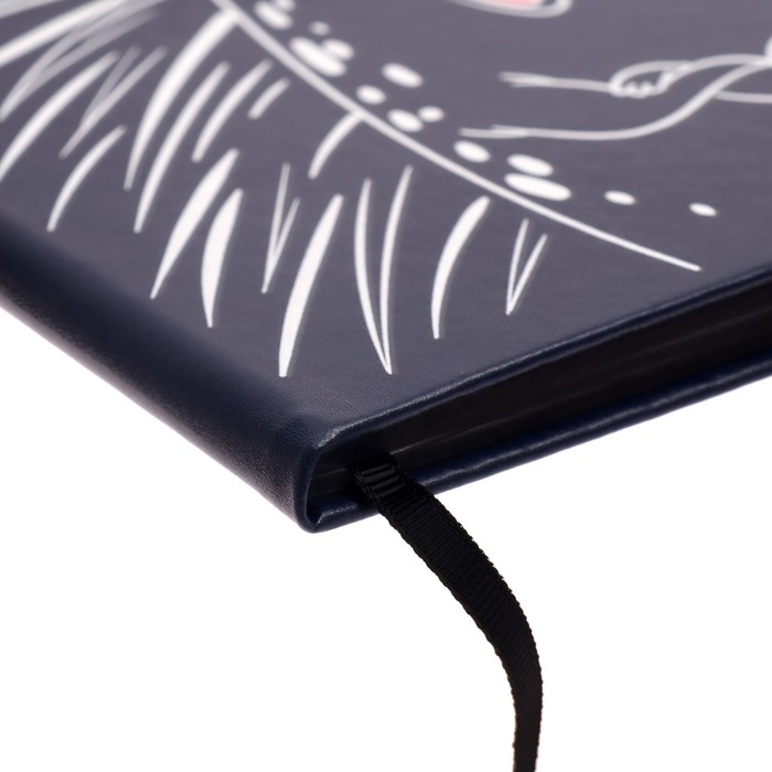 Дневник школьный для 1-11 классов  Дневник школьный для 1-11 классов "Ёж шутник", твёрдая обложка, искусственная кожа, аппликация из искусственной кожи, шелкография, 48 листов, блок офсет 80г/м2