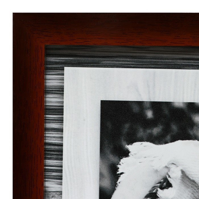 Картина  Картина "Фрукты-2" 42х107 см МИКС