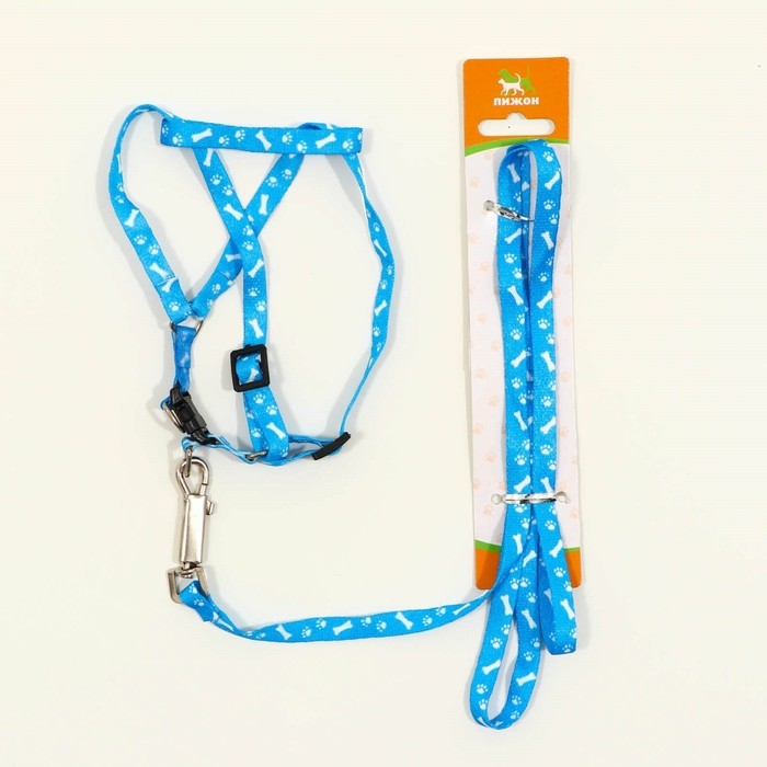 Комплект Комплект "Классика", капрон, поводок 120 х 1 см, ОГ 21-35 см, голубой