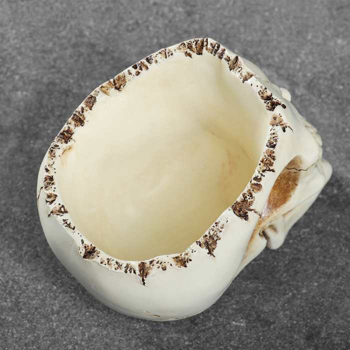 Конфетница "Череп" 14х10х11см