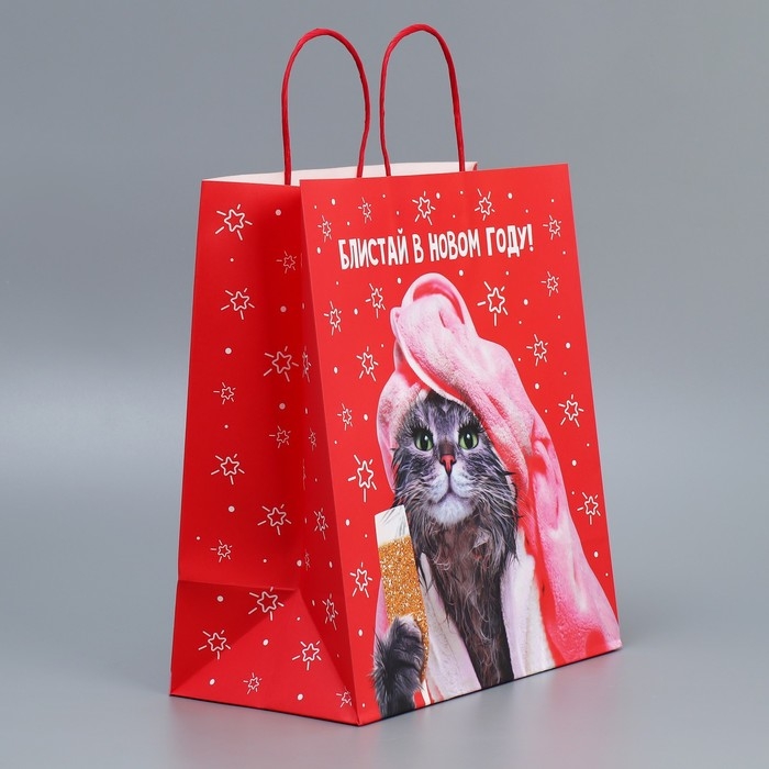 Пакет подарочный новогодний крафтовый «Блистай», 28 х 32 х 15 см, Новый год Пакет подарочный новогодний крафтовый «Блистай», 28 х 32 х 15 см, Новый год