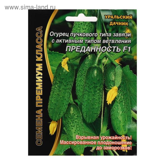 Семена Огурец Семена Огурец "Преданность" F1 пучкового типа завязи, партенокарпический, 7 шт