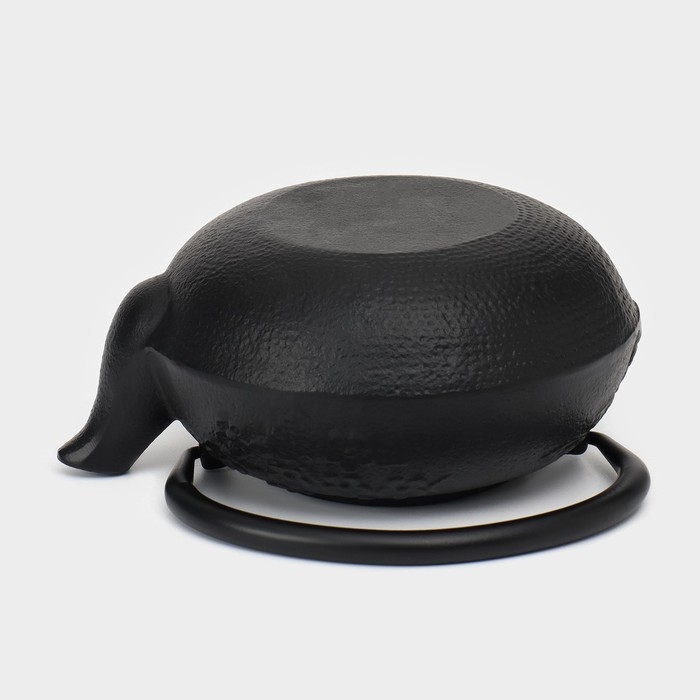 Чайник для плиты чугунный, 600 мл, с ситом, эмалированное покрытие внутри, цвет чёрный Чайник для плиты чугунный, 600 мл, с ситом, эмалированное покрытие внутри, цвет чёрный