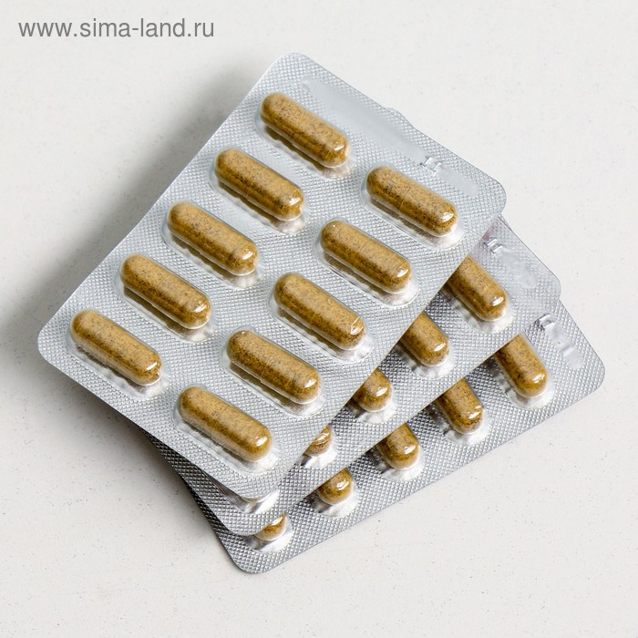 Каштан в капсулах от варикоза и геморроя, 30 штук по 0,5 г Каштан в капсулах от варикоза и геморроя, 30 штук по 0,5 г