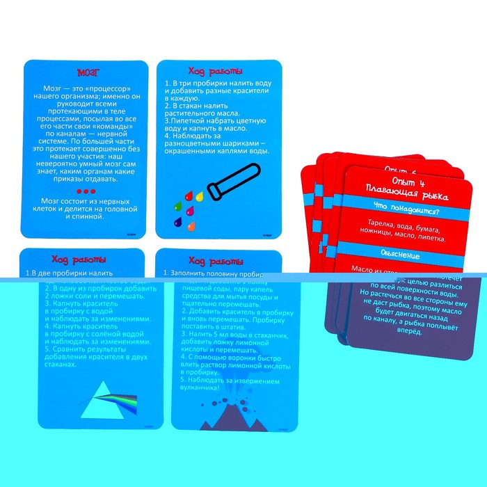 Набор для опытов «Научный набор 2В1», модель тела человека и лабораторная посуда Набор для опытов «Научный набор 2В1», модель тела человека и лабораторная посуда