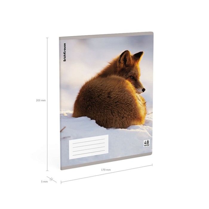 Тетрадь В5, 48 листов в клетку, ErichKrause Тетрадь В5, 48 листов в клетку, ErichKrause "Лисы", пластиковая обложка, блок офсет 100% белизна, МИКС