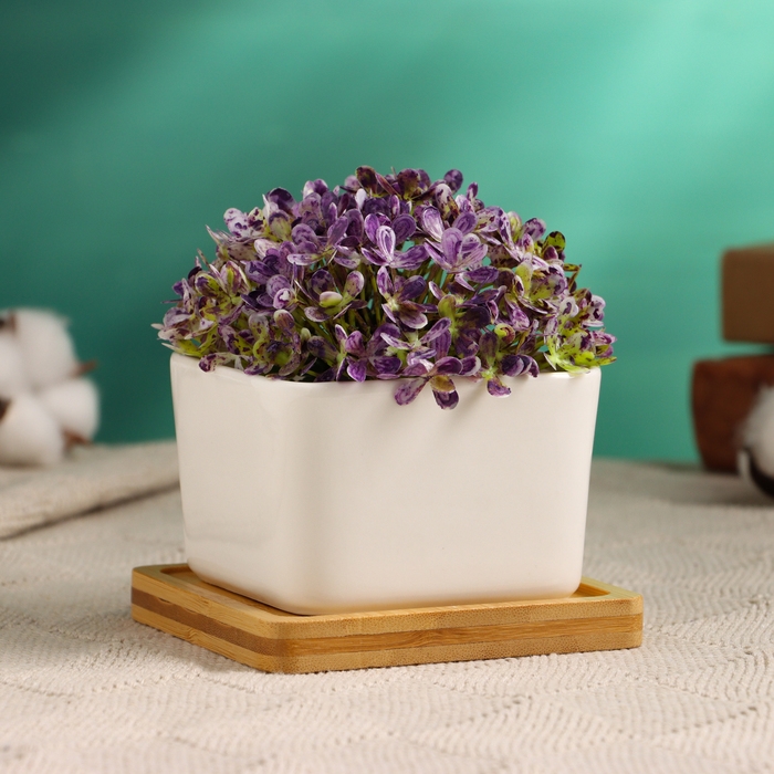 Горшок Горшок "Эко Бонсай" для кактусов и суккулентов, 9,5х9,5х6,5см