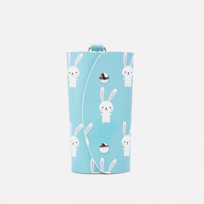 Ключница на кнопках, длина 11 см, 7 карабинов, цвет голубой Ключница на кнопках, длина 11 см, 7 карабинов, цвет голубой