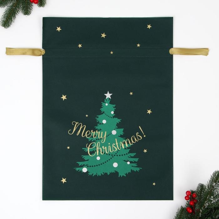 Новый год. Мешок подарочный Новый год. Мешок подарочный "Новогоднее чудо", 40 x 56 см