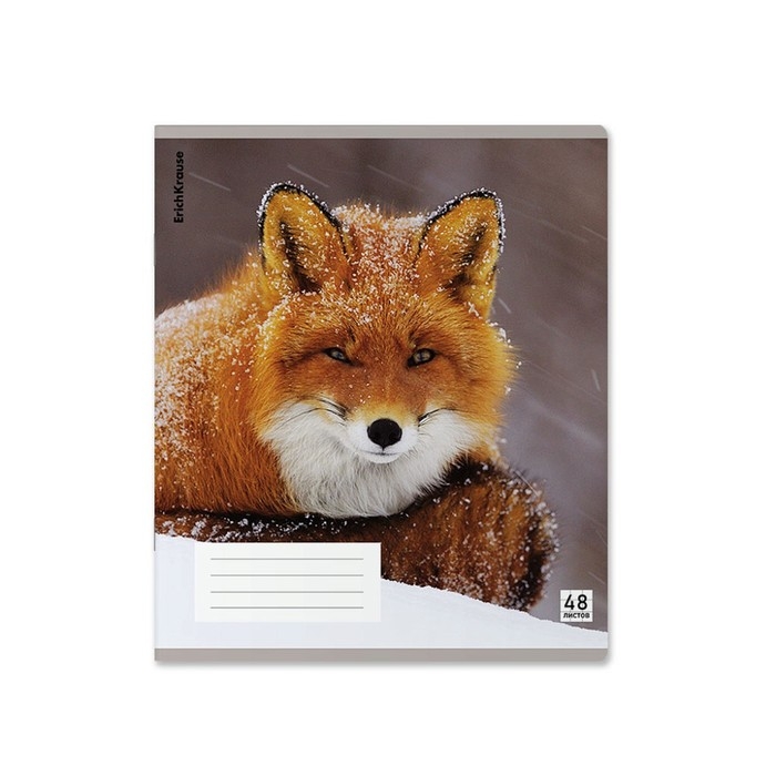 Тетрадь В5, 48 листов в клетку, ErichKrause Тетрадь В5, 48 листов в клетку, ErichKrause "Лисы", пластиковая обложка, блок офсет 100% белизна, МИКС