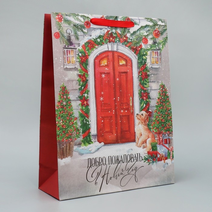 Пакет подарочный новогодний крафтовый вертикальный «Новогодний дом», L 31 х 40 х 11.5 см, Новый год Пакет подарочный новогодний крафтовый вертикальный «Новогодний дом», L 31 х 40 х 11.5 см, Новый год
