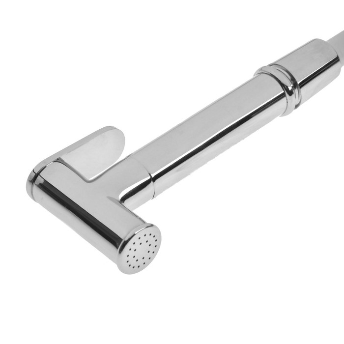 Набор для гигиенического душа (лейка, шланг и держатель) Accoona G79 Набор для гигиенического душа (лейка, шланг и держатель) Accoona G79