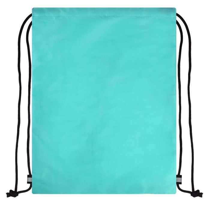 Мешок для обуви 420 х 340 мм, шелкография, Феникс  Мешок для обуви 420 х 340 мм, шелкография, Феникс "Кот с лимонадом" бирюзовый 62501