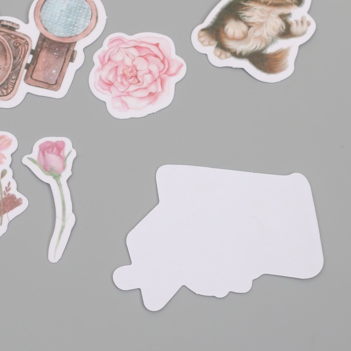 Наклейки для творчества Наклейки для творчества "Коты, розовые цветы и фото" 3,5х5 см набор 40 шт 9,4х8,4х0,5 см