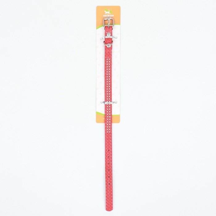 Ошейник рифленый с 2 рядами клепок, 33 х 1,2 см, ОШ 23-29, красный Ошейник рифленый с 2 рядами клепок, 33 х 1,2 см, ОШ 23-29, красный