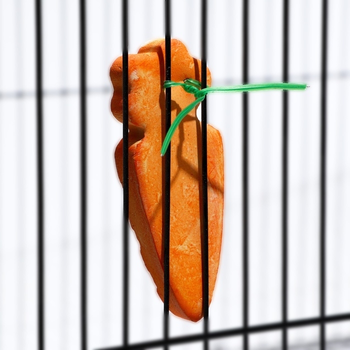 Минеральный камень Минеральный камень "Пижон" для грызунов, морковка, 35 г