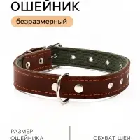 Ошейник комбинированный, безразмерный, 65&times;3.5 см, ОШ 31-61 см, кожа, брезент, коричневый