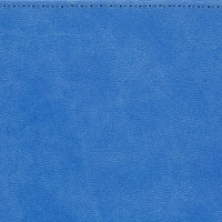 Ежедневник недатированный А5 145 х 205 мм Velvet ярко-син 272 стр. 3-115/32