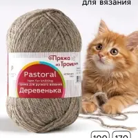 Пряжа для вязания спицами, крючком &laquo; Деревенька&raquo;, 100% шерсть, 170 м/100 г