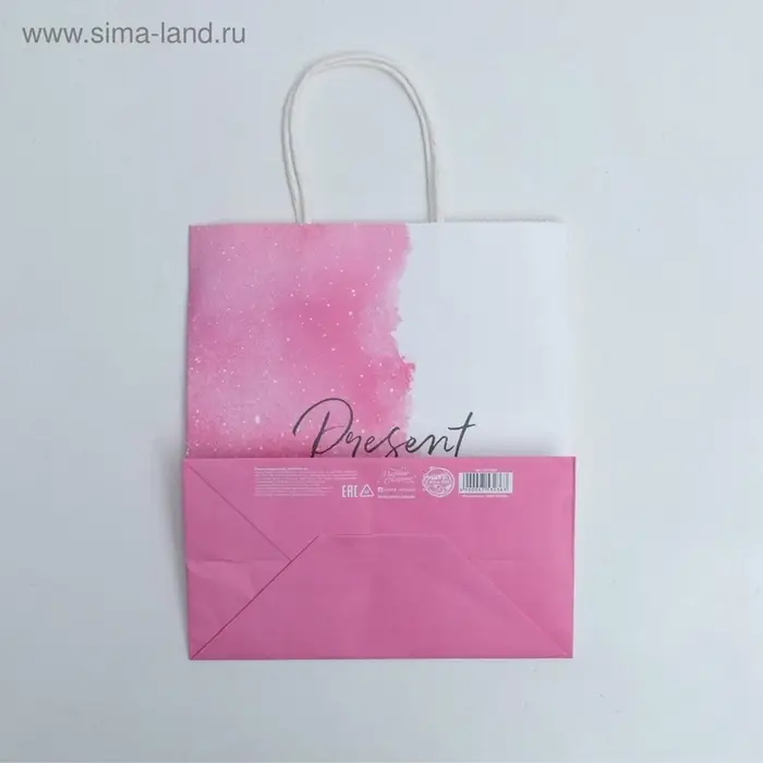 Пакет подарочный крафтовый, упаковка, &laquo;Present for you&raquo;, 22&times;25&times;12 см