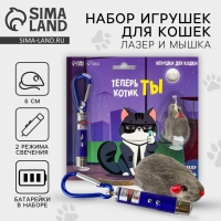 Игрушка для кошек лазер+мышь «Теперь котик ты»