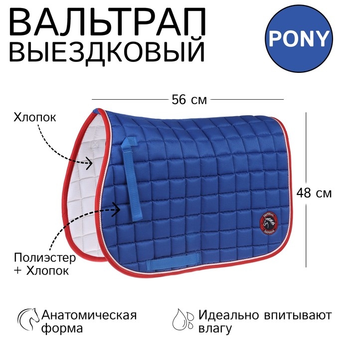 Вальтрап пони, василек Вальтрап пони, василек