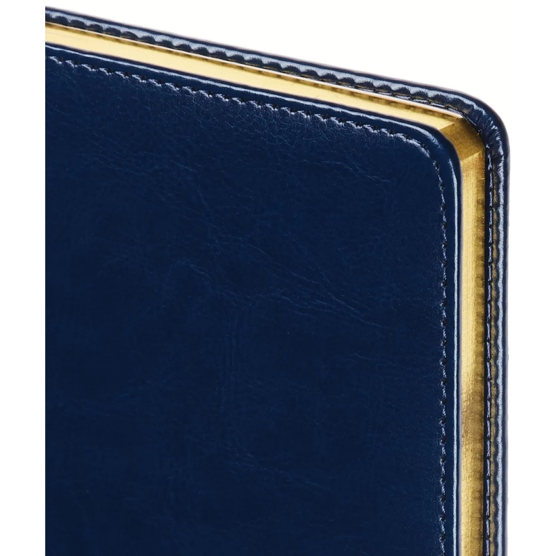 Ежедневник недатированный A6+, 136л, SIDNEY NEBRASKA синий 3-496/04