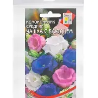 Набор семян Колокольчик многолетний &laquo;Чашка с Блюдцем&raquo;, 180 семян