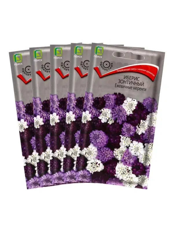 Набор семян Иберис зонтичный Набор семян Иберис зонтичный "Ежевичные меренги", 5 шт.